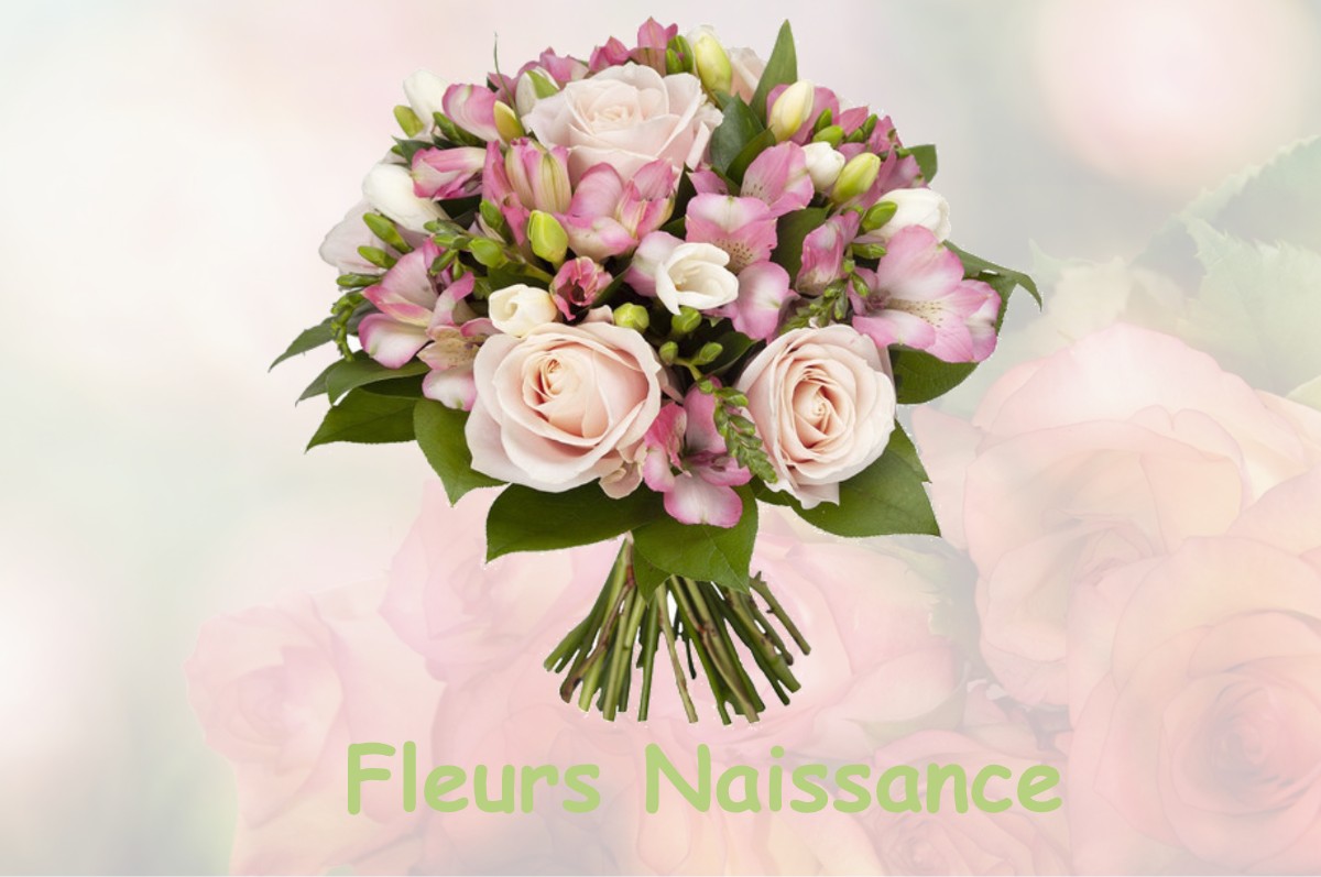 fleurs naissance LE-MESNIL-AUBRY